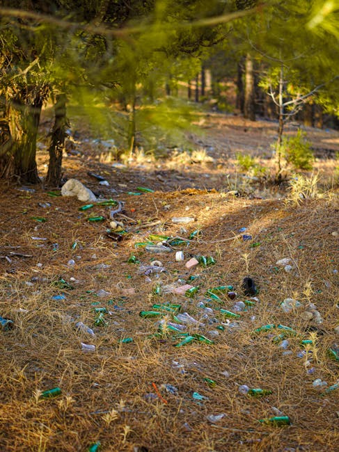 A woodland area with dry, brown pine needle-covered ground, scattered with numerous crushed glass bottles made of green and clear glass lying haphazardly across the forest floor. Some bottles are part